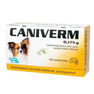 Antiparazitare interne pisici