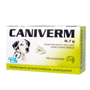 Antiparazitare interne câini