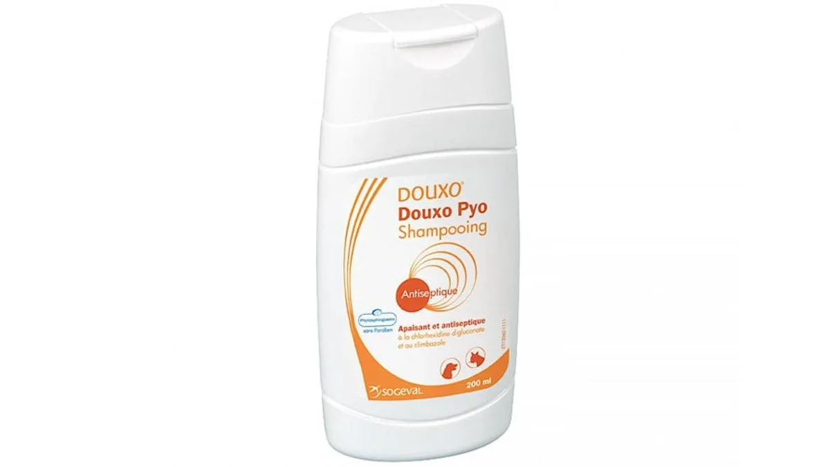 Douxo Pyo Șampon Chlorhexidine, 200 ml