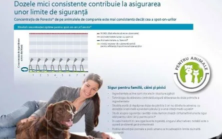 Foresto Large Dog (> 8 kg)