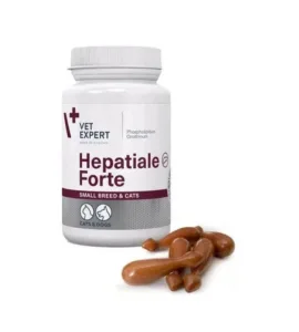 Afecțiuni hepatice pisici