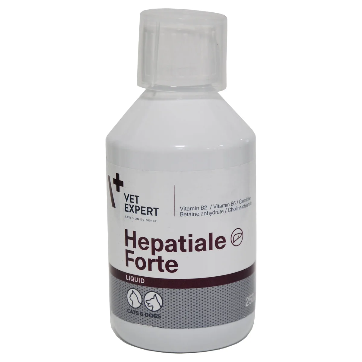 Hepatiale Liquid, 250 ml