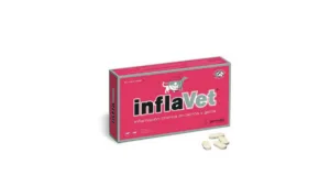 Antiinflamatoare pisici
