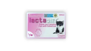 Lapte pisici