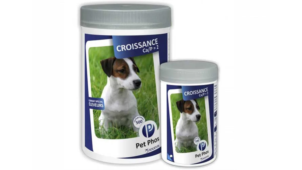 Pet Phos Croissance Ca/p2 100 tablete