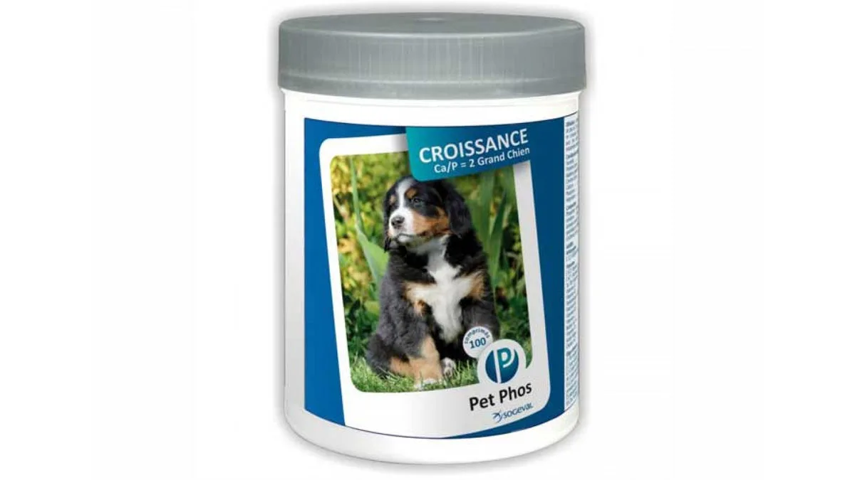 Pet Phos Grand Chien Croissance Special 100 tablete