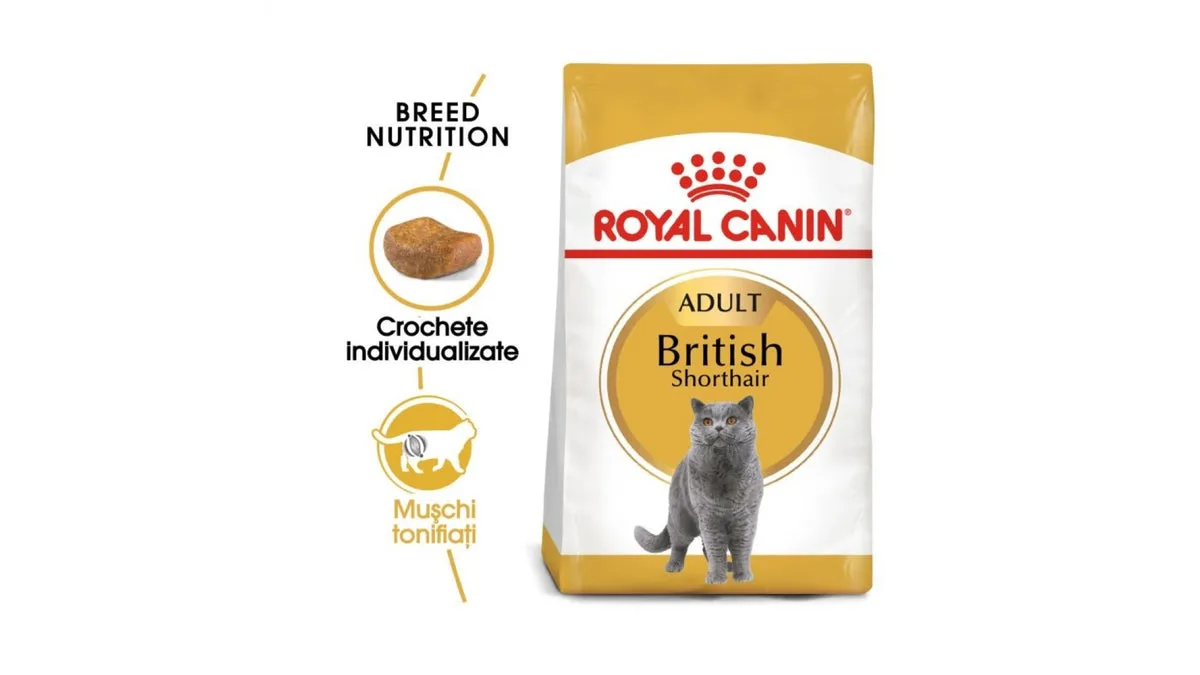 Royal Canin British Shorthair Adult 2 kg
