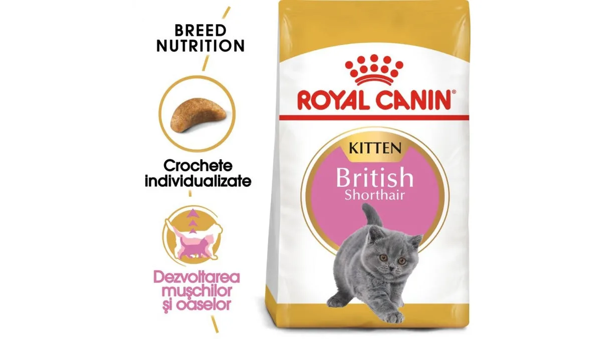 Royal Canin British Shorthair Kitten 10 kg