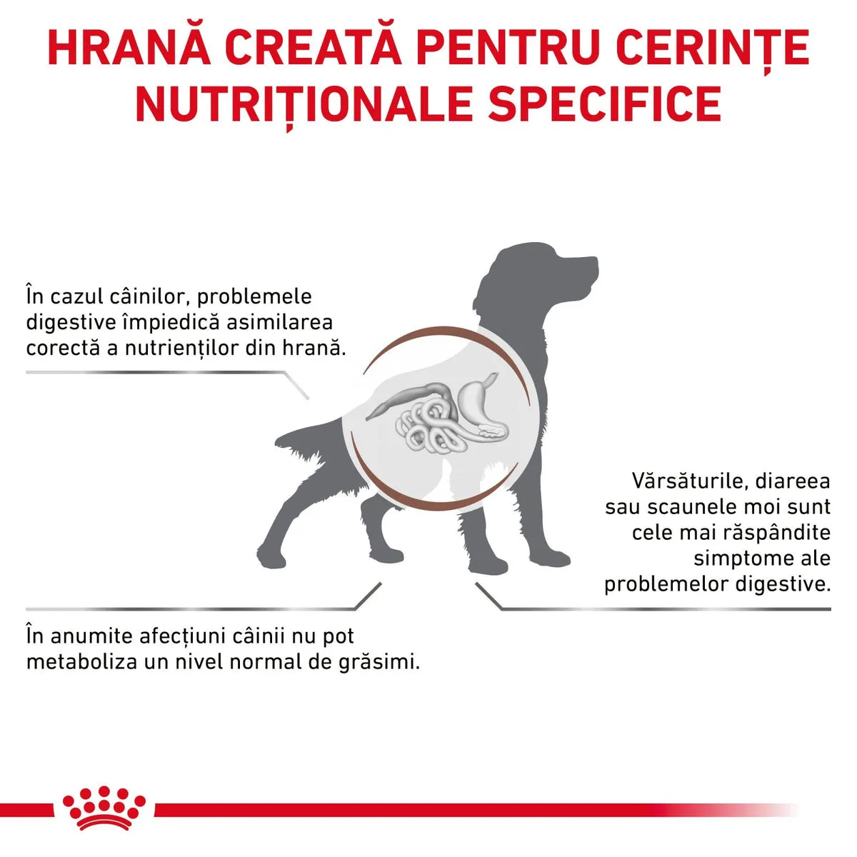 Royal Canin Gastro Intestinal Low Fat Dog 1,5 kg