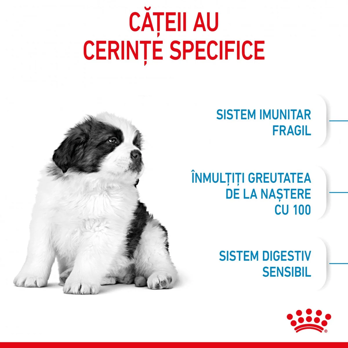 Royal Canin Giant Puppy 3,5 kg