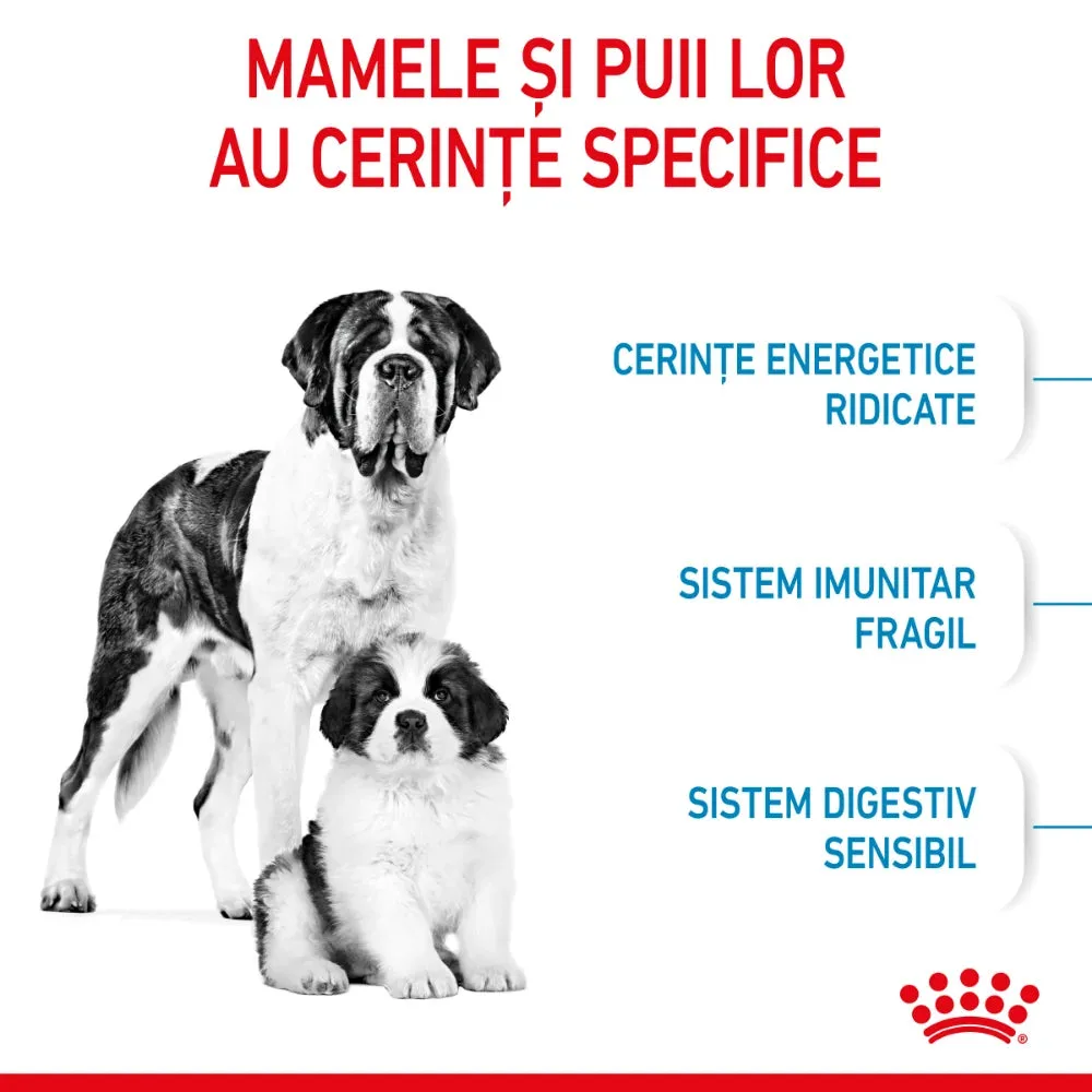 Royal Canin Giant Starter Mother&baby Dog 15 kg
