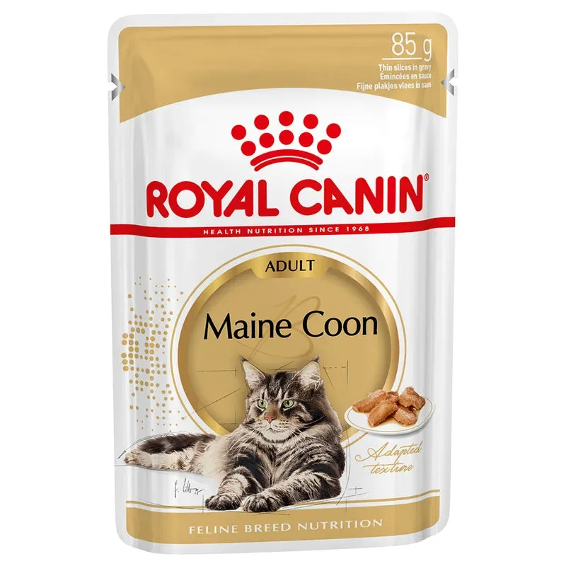 Royal Canin Maine Coon Plic Sos 12 × 85 g