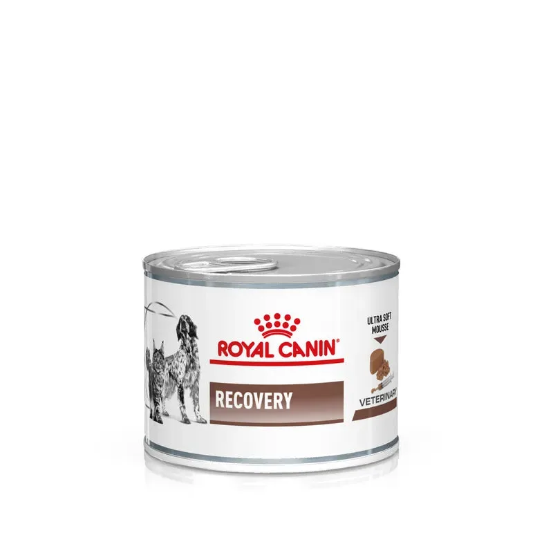 Royal Canin Recovery Ultra Soft Dog&cat 195g