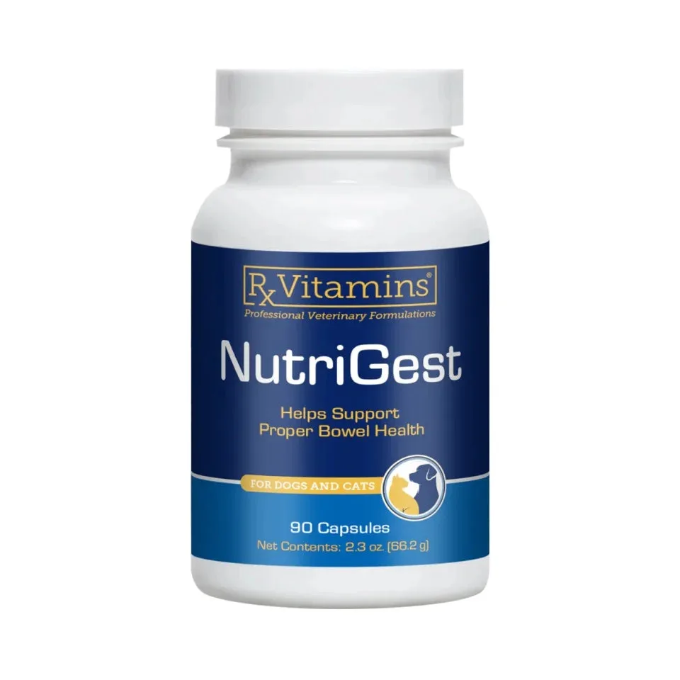 Rx Nutrigest, 90 capsule